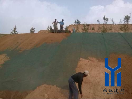 三維植被網http://www.shsafegroup.com/